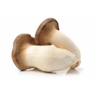 B049 Mushrooms King Oyster (case)