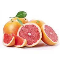 B069B Grapefruit Pink (Case)