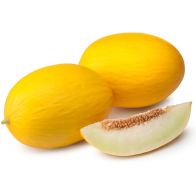 Honeydew Melon 1x6