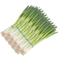 Spring Onions 1x12