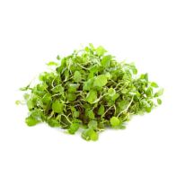 Fresh Watercress Baby 100g