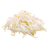 B168 Bean Sprouts