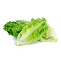 Baby Gem Lettuce (Case)