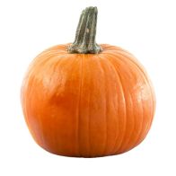 Pumpkin Large