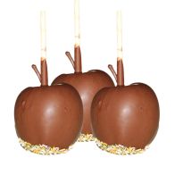 Milk Chocolate Apples (Seasonal)