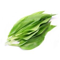 B833 Wild Garlic Leaves Fresh