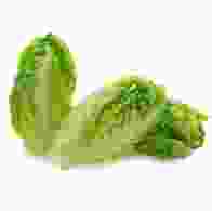 Baby Gem Lettuce (Case)