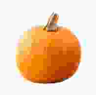 Pumpkin  Medium