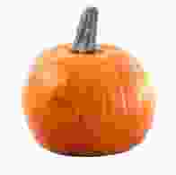 Pumpkin Large