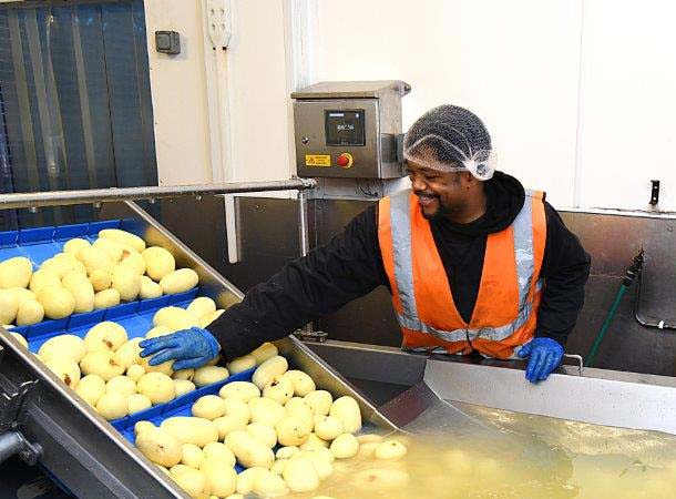 Potato-Washing-01