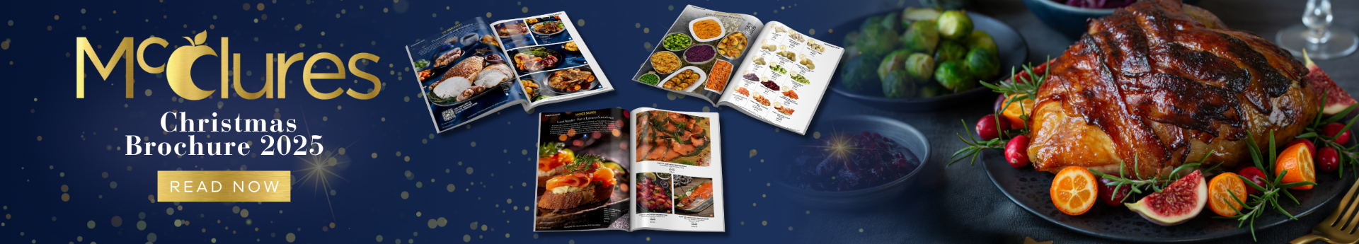 Brochure_Banner_Web